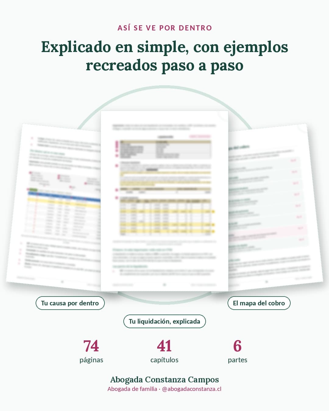 Así se ve por dentro: 74 páginas, 41 capítulos y 6 partes, con ejemplos recreados paso a paso