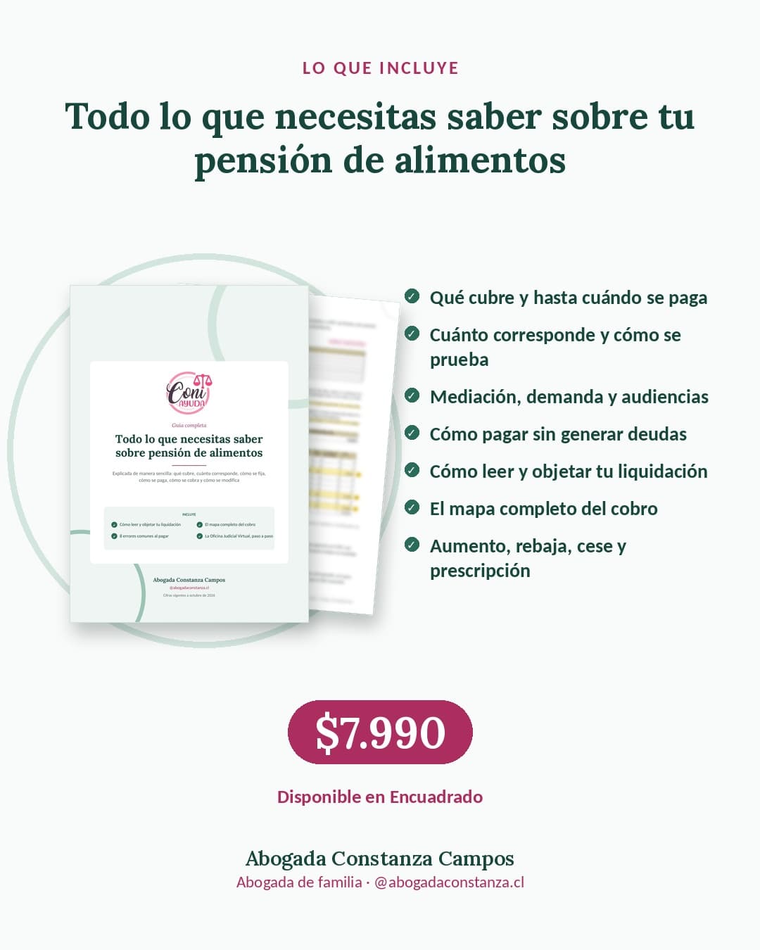 Lo que incluye el manual de pensión de alimentos, a $7.990, disponible en Encuadrado